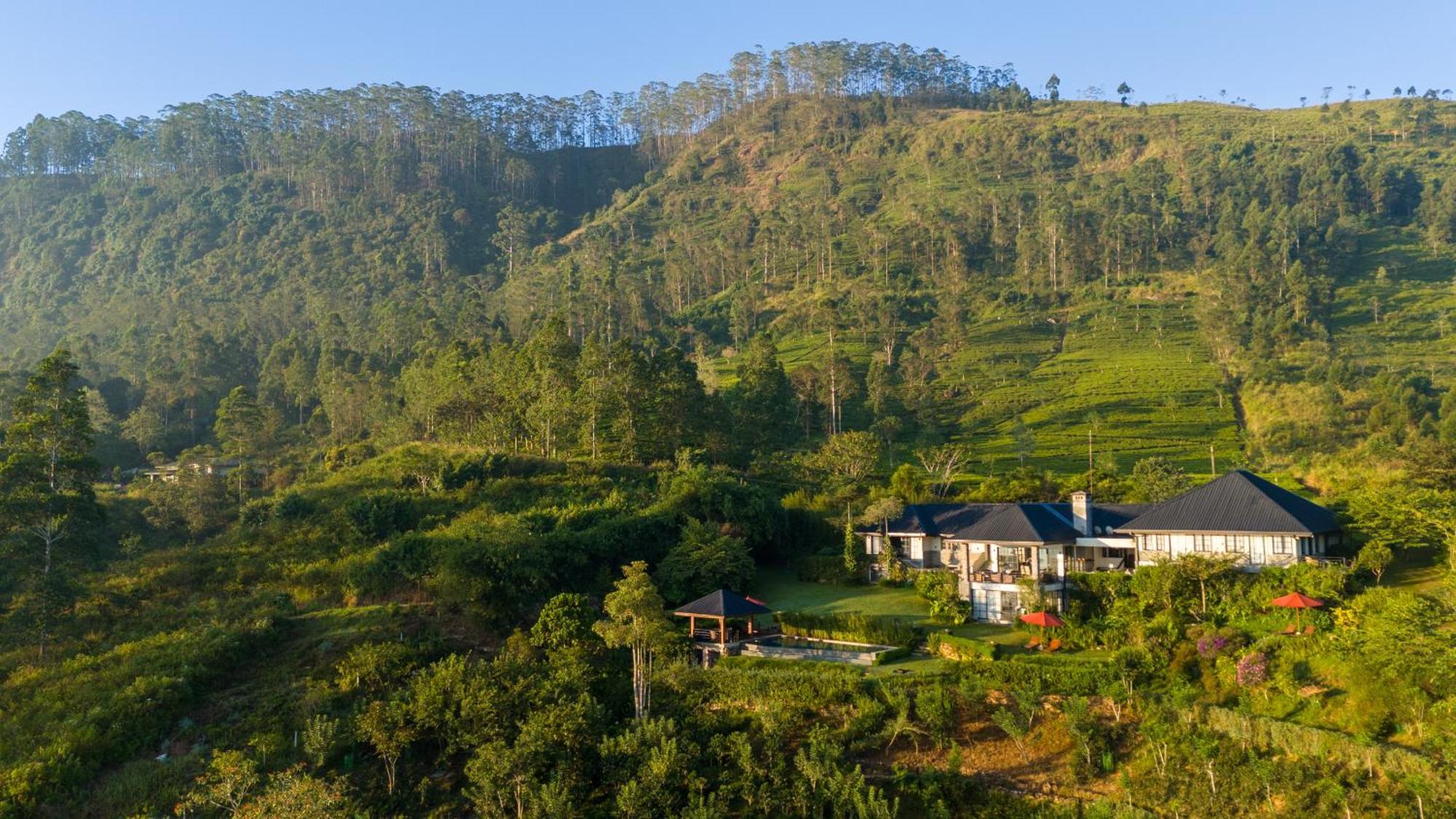 Camellia Hills 호텔 하톤 외부 사진